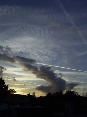 20052003 005